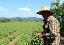 Cerrado em Pé