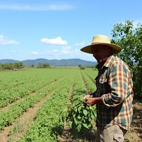 Cerrado em Pé