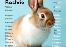 nomes para coelhos 2025