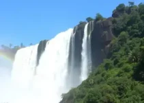 Detran Foz do Iguaçu