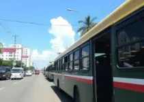 ônibus grátis eleições Porto Velho