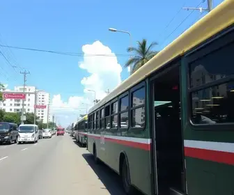 ônibus grátis eleições Porto Velho